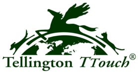TellingtonTouch - Logo